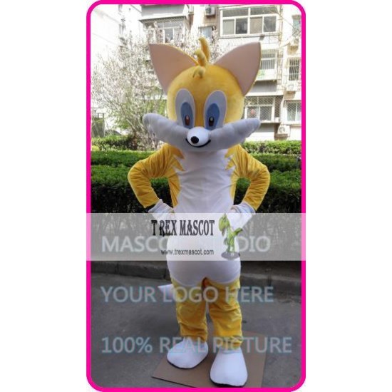 Mascot Yellow Cat Mascot Costume Cartoon 