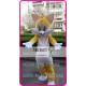 Mascot Yellow Cat Mascot Costume Cartoon 