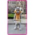 Mascot Grey Squirrel Mascot Costume Cartoon 