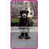 Mascot Bear Mascot Costume Cartoon 
