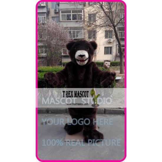 Mascot Bear Mascot Costume Cartoon Mascot Bear Mascot Costume Cartoon