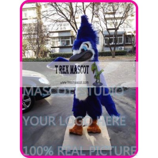 Mascot Blue Jay Eagle Mascot Costume Mascot Blue Jay Eagle Mascot Costume