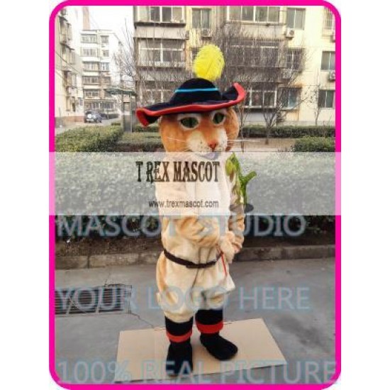 Mascot Cat Mascot Costume Mascot Cat Mascot Costume
