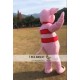 Adult Pig Cartoon Cosplay Costumes Anime Mascot Costumes