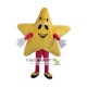 Yellow Star Mascot Costume