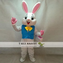 Easter bunny mascot cosutme Easter rabbit mascot