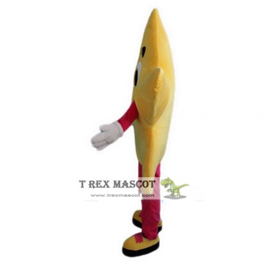 Yellow Star Mascot Costume