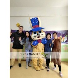 Rabbit Mascot Costume