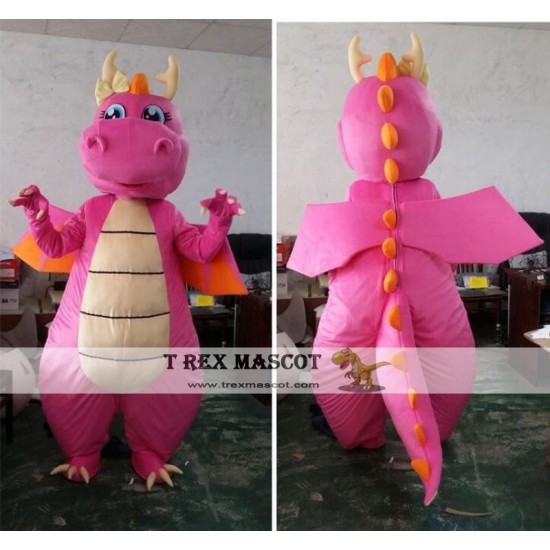 Dinosaur Mascot Costume